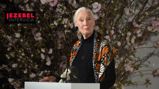 If Jane Goodall Doesn't Think the World Is Ending, Maybe We Shouldn't Either